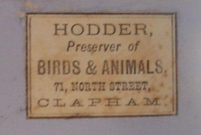 hodderlabel[1].JPG